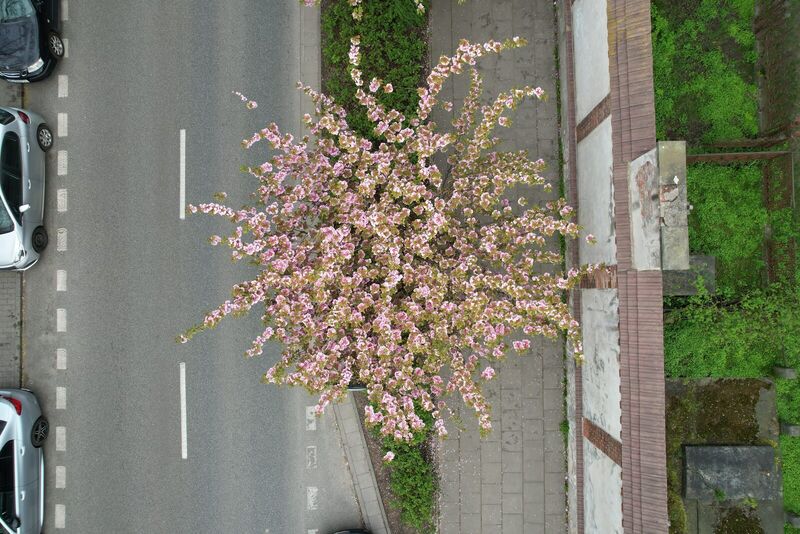Aerial drone photo